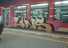 Photo #173551 by TagHagel