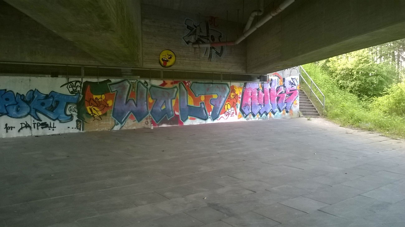 Graffiti Wall - Photo by Rastrf - rf, wolf, lg