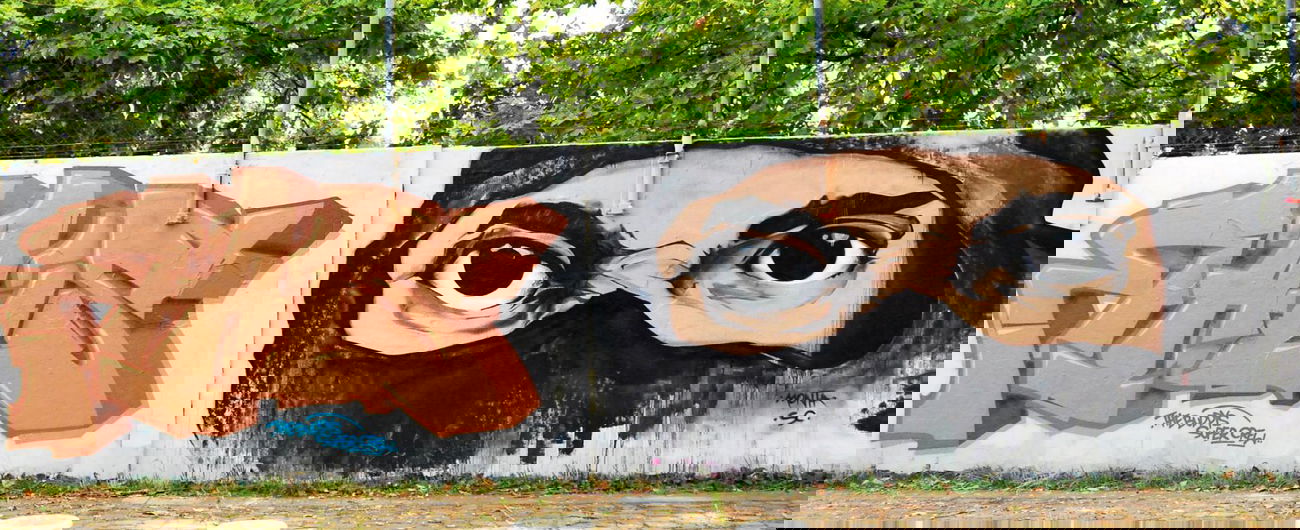 Graffiti Wall in Frankfurt - Photo by Rays - Rays, Monta, sc (2014)