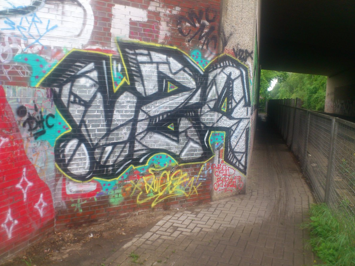 Graffiti Bombing - Photo by Razional - VZA (2014)