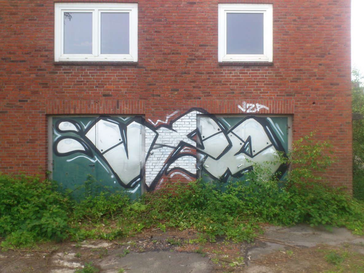 Graffiti Bombing - Photo by Razional - VZA (2014)
