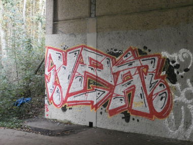 Graffiti Bombing - Photo by Razional - VZA, RAZIA, LEENO