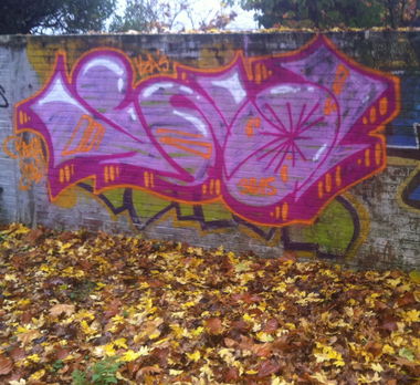 Graffiti Wall in Oldenburg - Photo by Razional - VZA