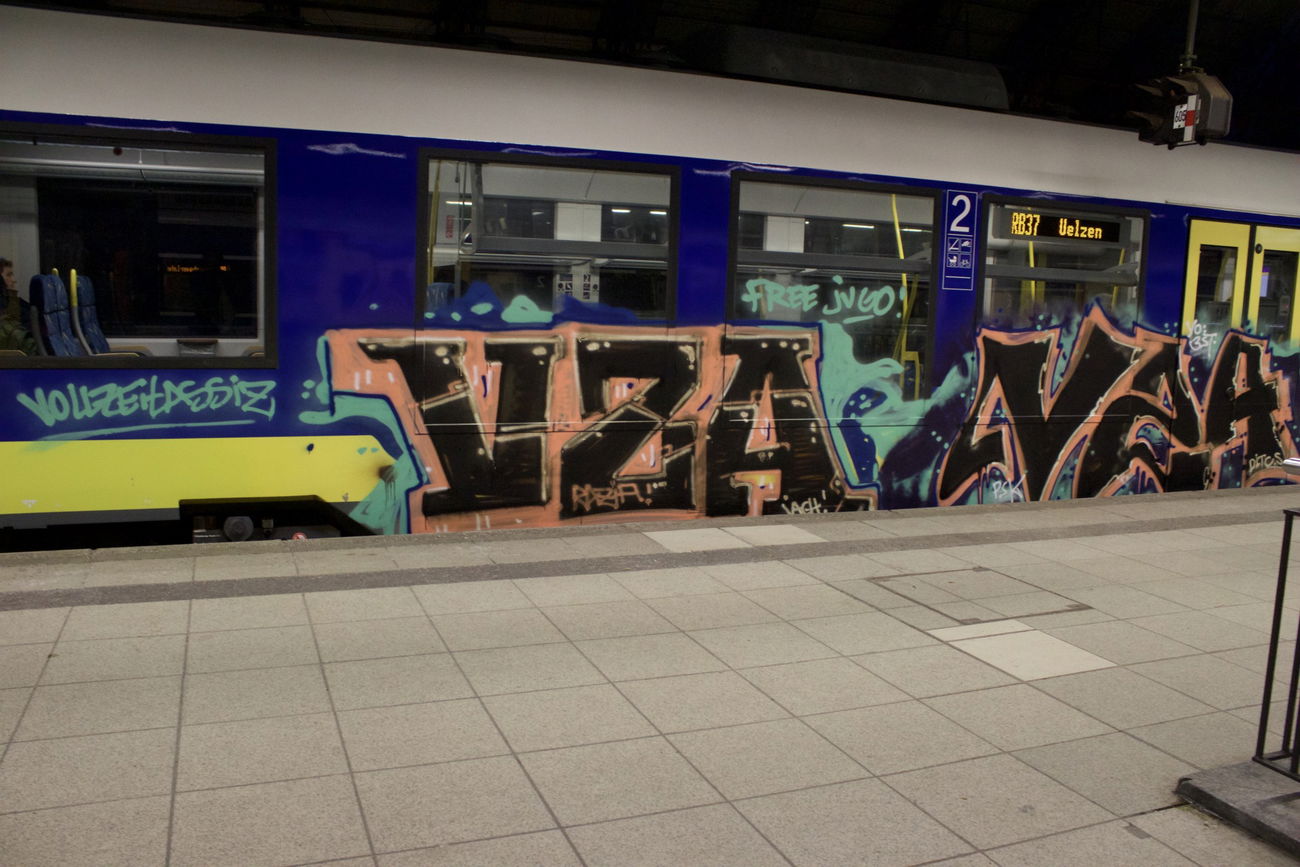 Graffiti Train - Photo by Razional - VZA