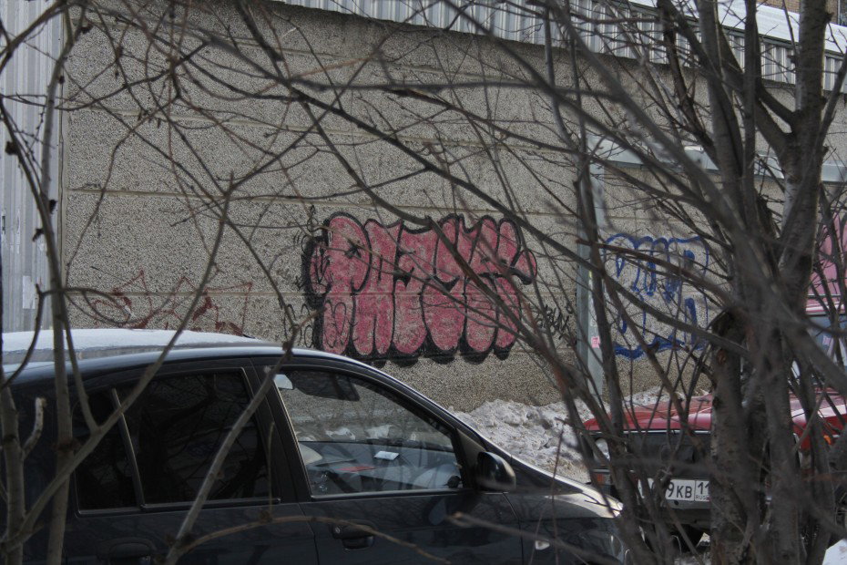 Graffiti Bombing - Photo by Razoomone
