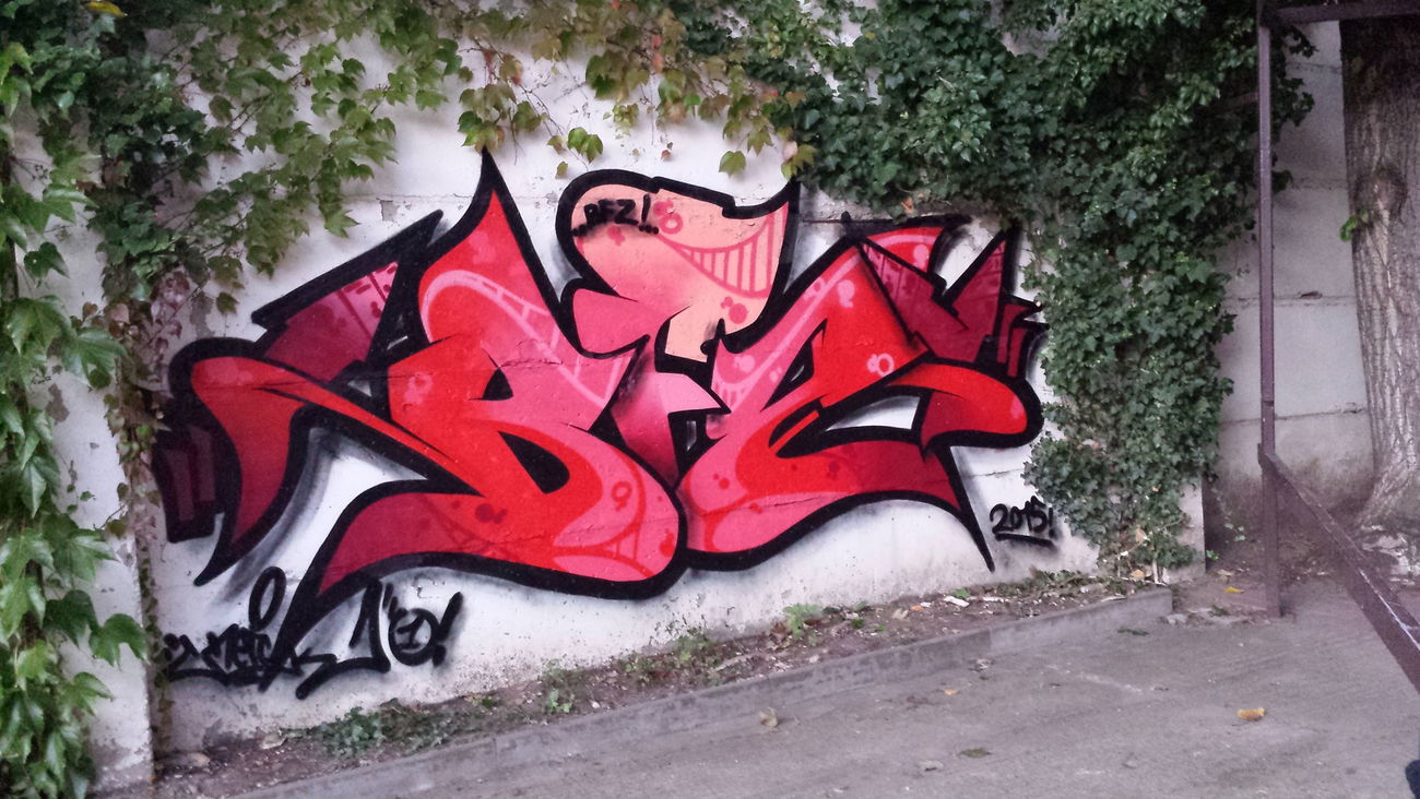 Graffiti Wall - Photo by Read (2015)