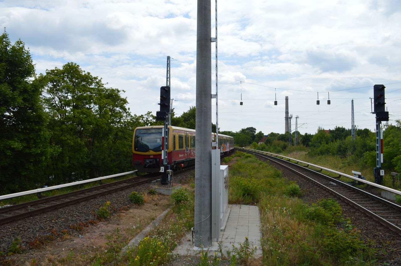 Graffiti Train - Photo by RealGOG - turn, oups, vato (2015)