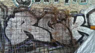 Graffiti Bombing - Photo by RealGOG - RCK