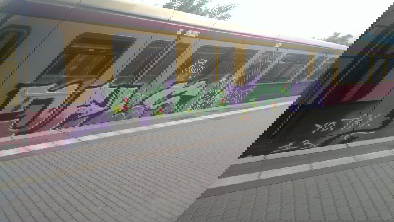 Graffiti Train - Photo by RealGOG - PALS