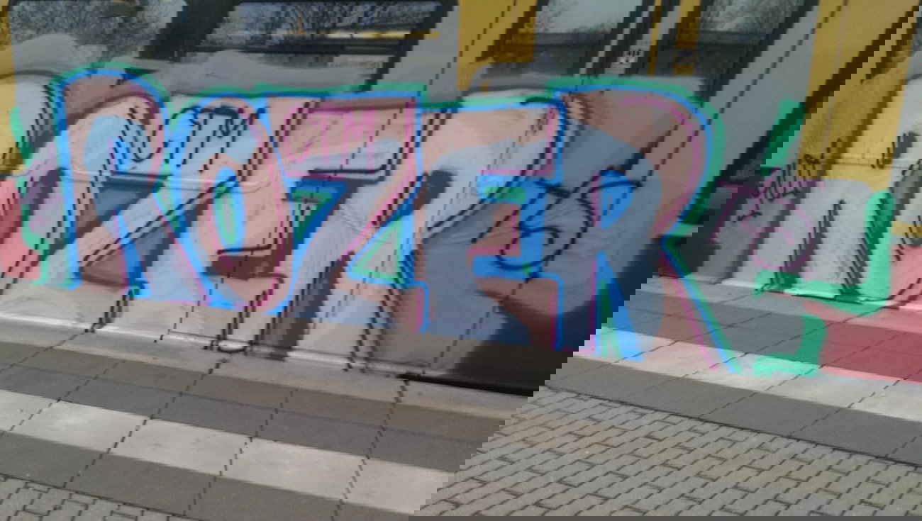 Graffiti Train - Photo by RealGOG - ROZER, TLS, CTM