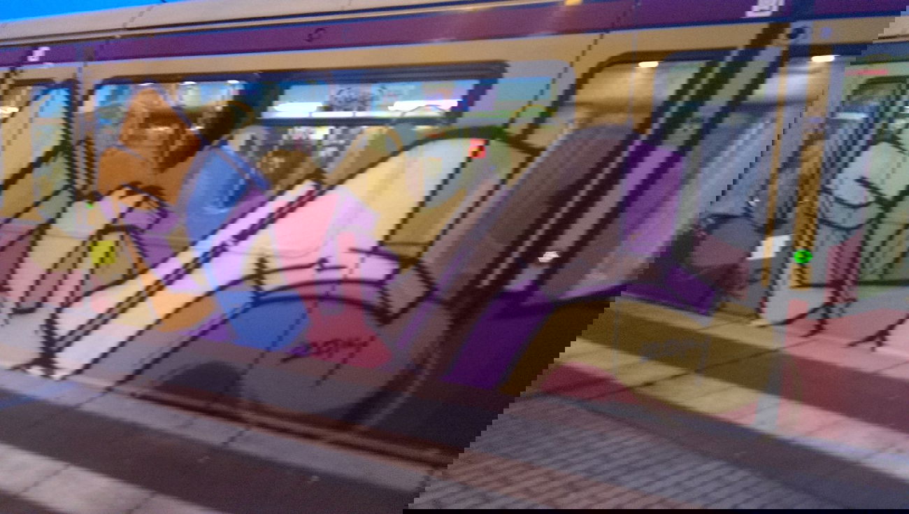 Graffiti Train - Photo by RealGOG - FLUCH, DH, CLUB