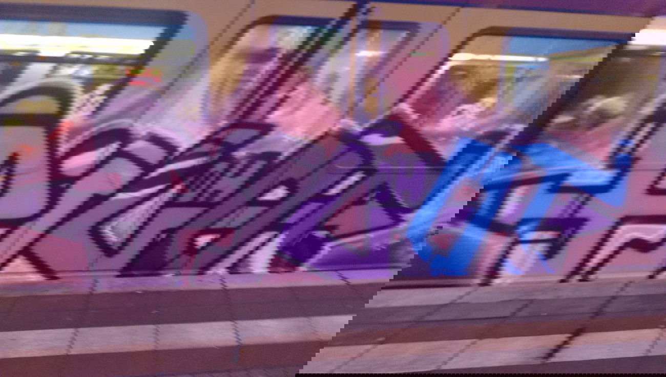 Graffiti Train - Photo by RealGOG - PILOT, DH