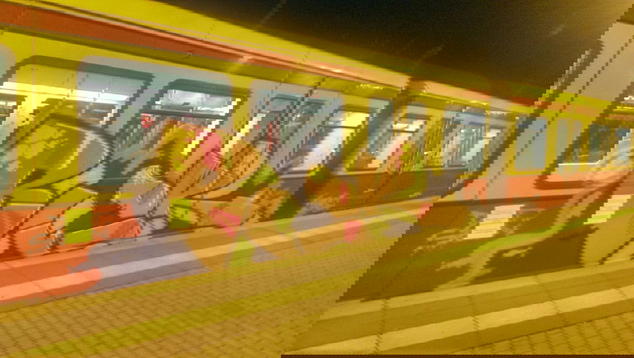 Graffiti Train - Photo by RealGOG