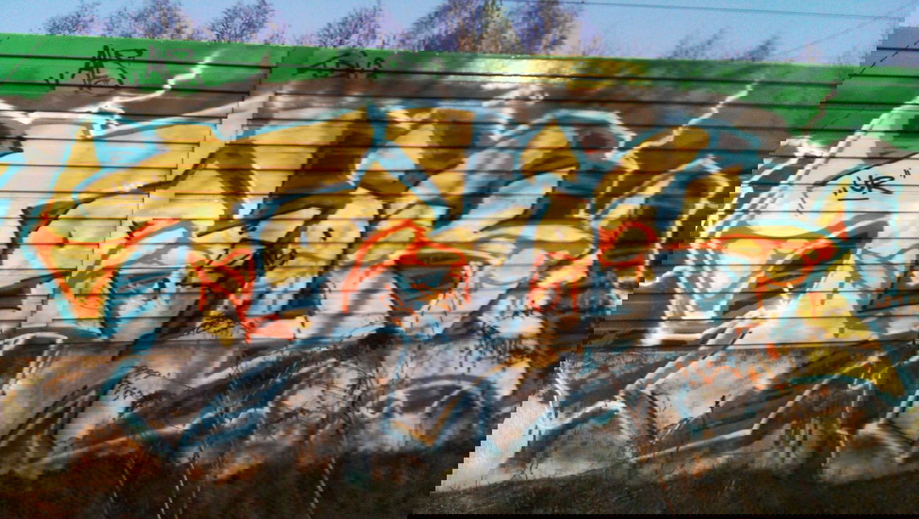 Graffiti Wall - Photo by RealGOG - TRIK