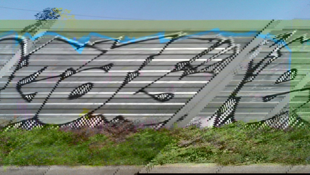 Graffiti Bombing - Photo by RealGOG - EGAL, TBA, BERLIN