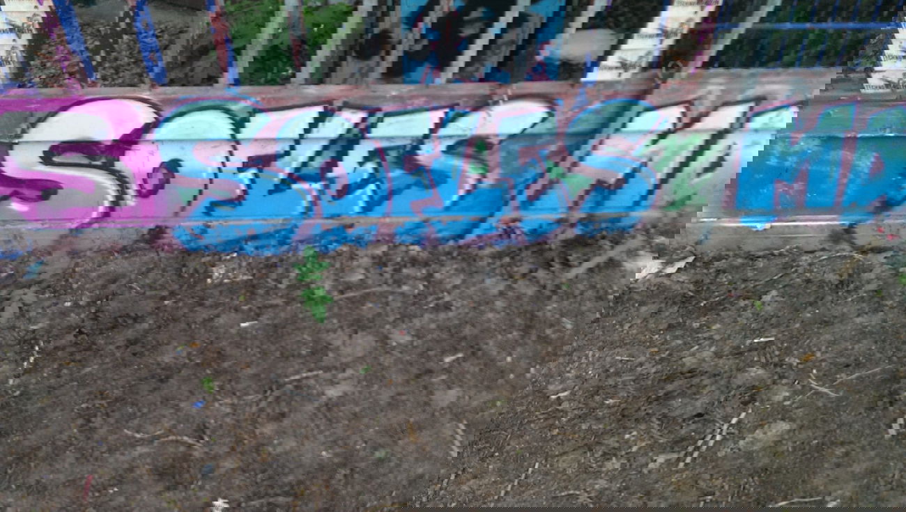 Graffiti Bombing - Photo by RealGOG - SOFLES, IRONLAK, BERLIN