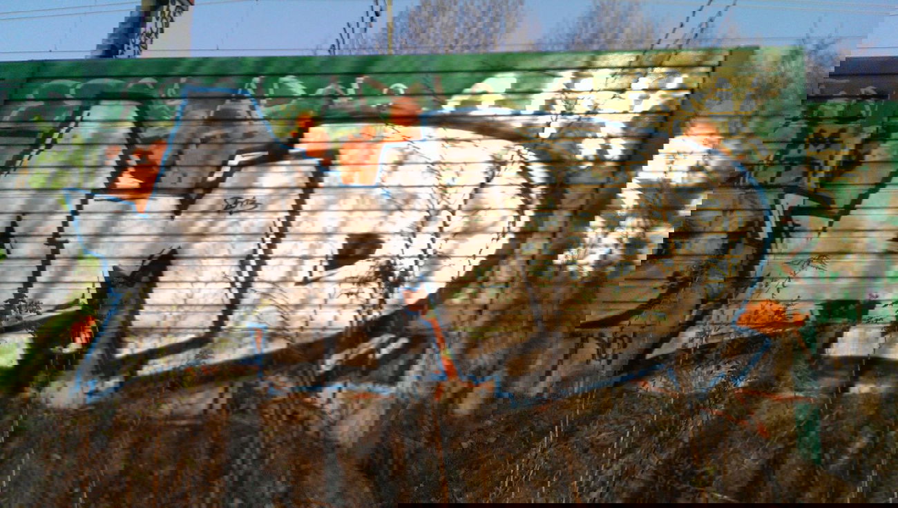 Graffiti Bombing - Photo by RealGOG - AMD, BERLIN, CHROME