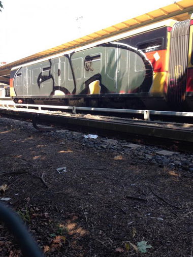 Graffiti Train - Photo by RealGOG - COA, WHOLECAR, WC (2014)