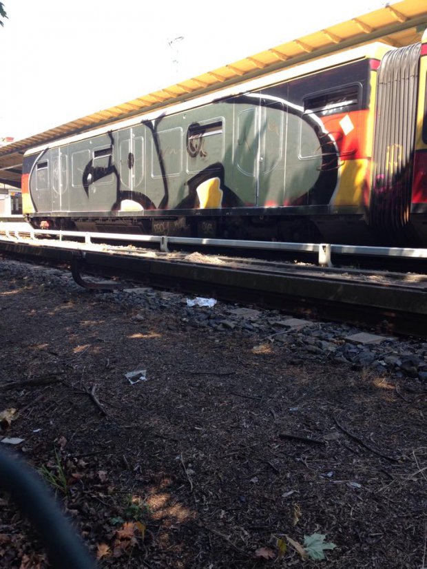 Graffiti Train - Photo by RealGOG - COA, WHOLECAR, WC (2014)