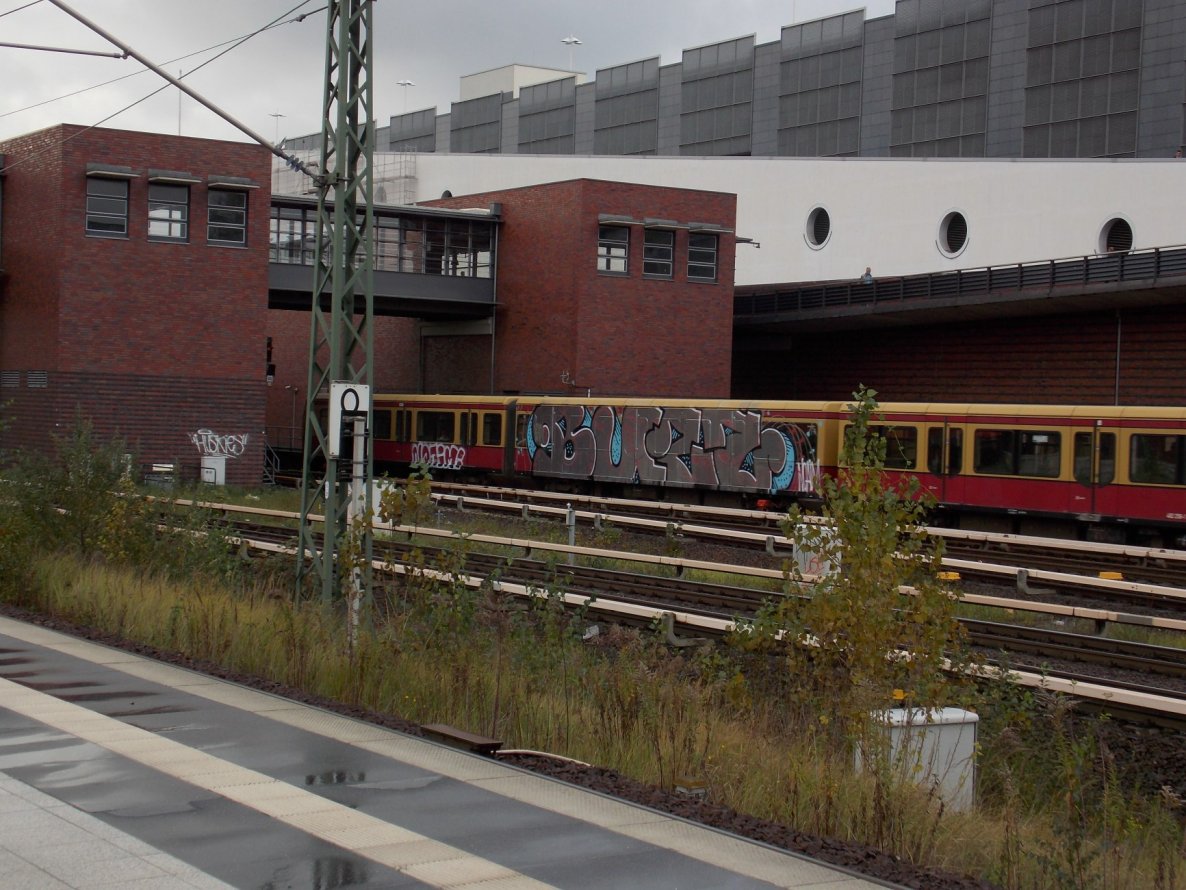 Graffiti Train - Photo by RealGOG - BUZZ