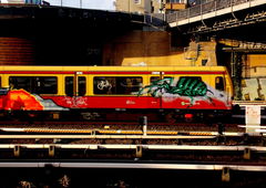 Photo #125335 by ion