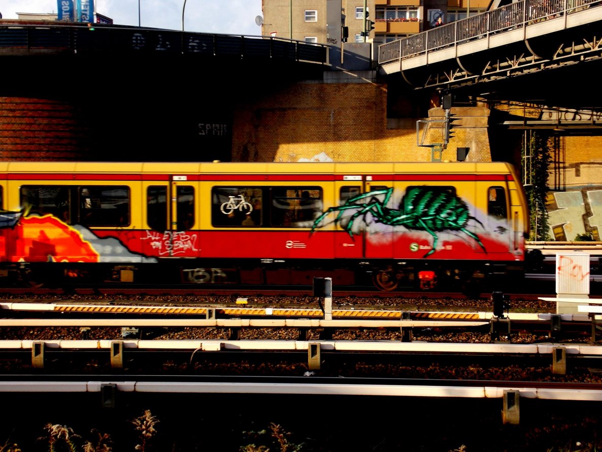 Graffiti Train - Photo by RealGOG - SPIDER, TBA, SPINNE (2014)