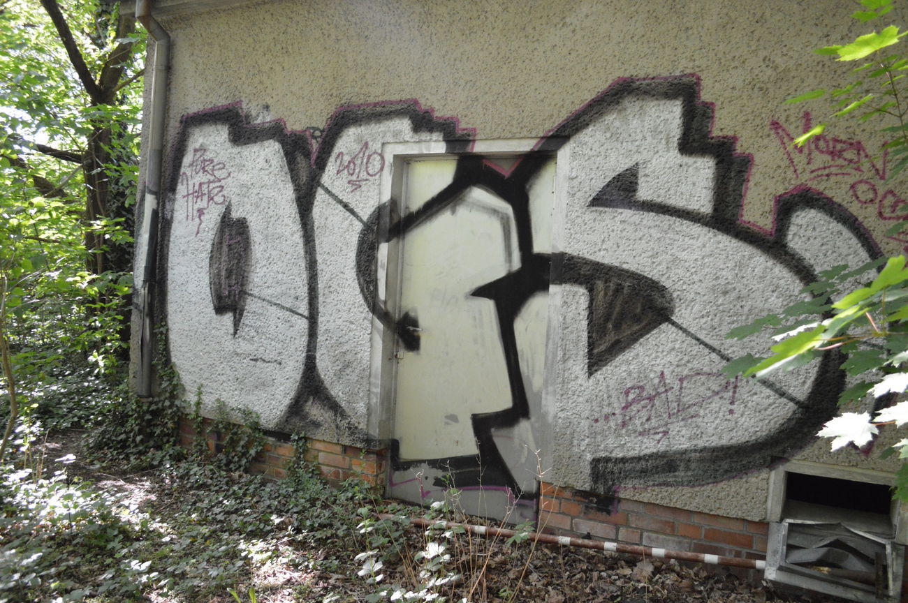 Graffiti Bombing - Photo by RealGOG - OGS, PH, Pure