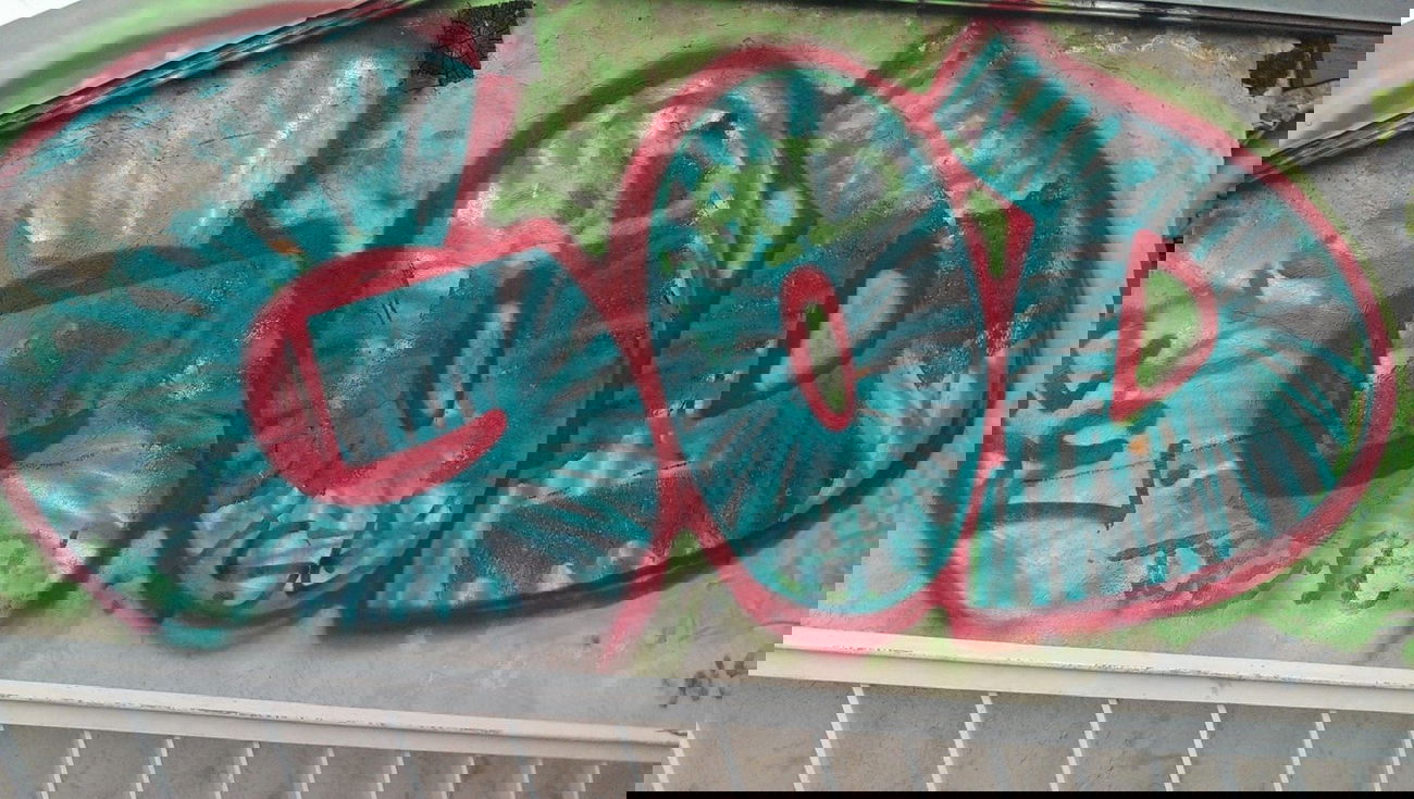 Graffiti Bombing - Photo by RealGOG - GOD