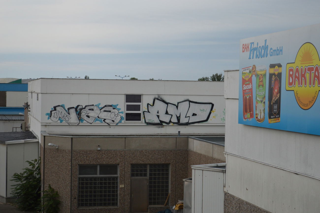 Graffiti Bombing - Photo by RealGOG - nes, amd, berlin