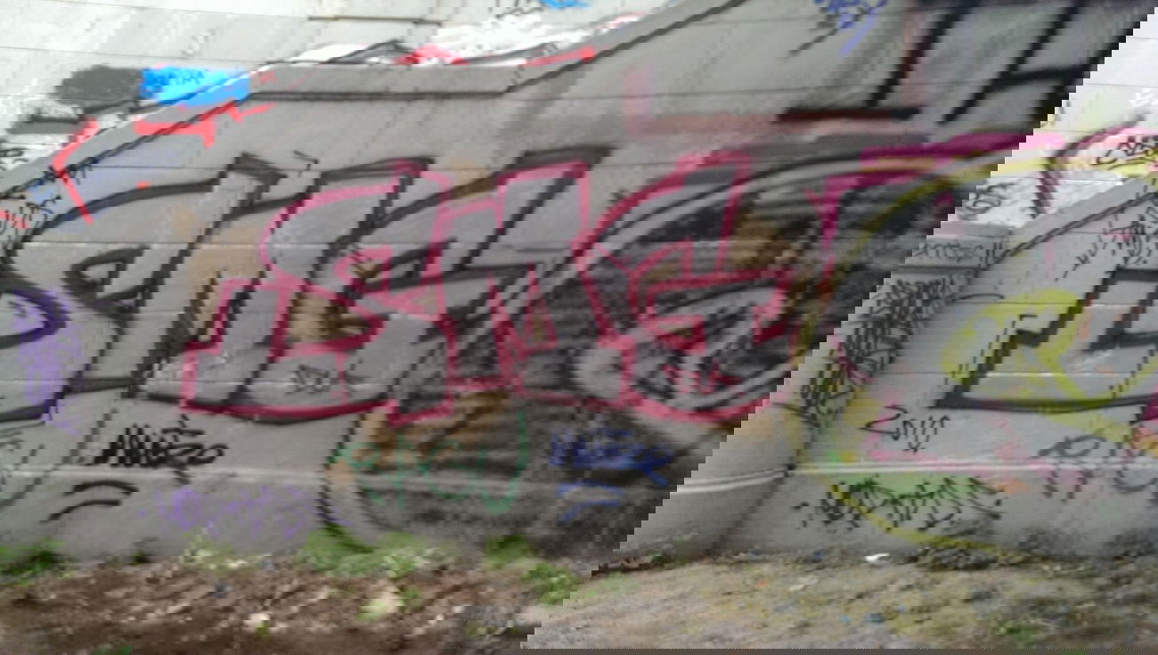 Graffiti Wall - Photo by RealGOG - SMG