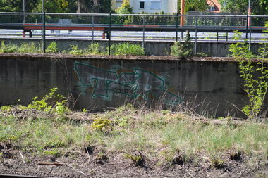 Graffiti Wall - Photo by RealGOG - TCR, Reak