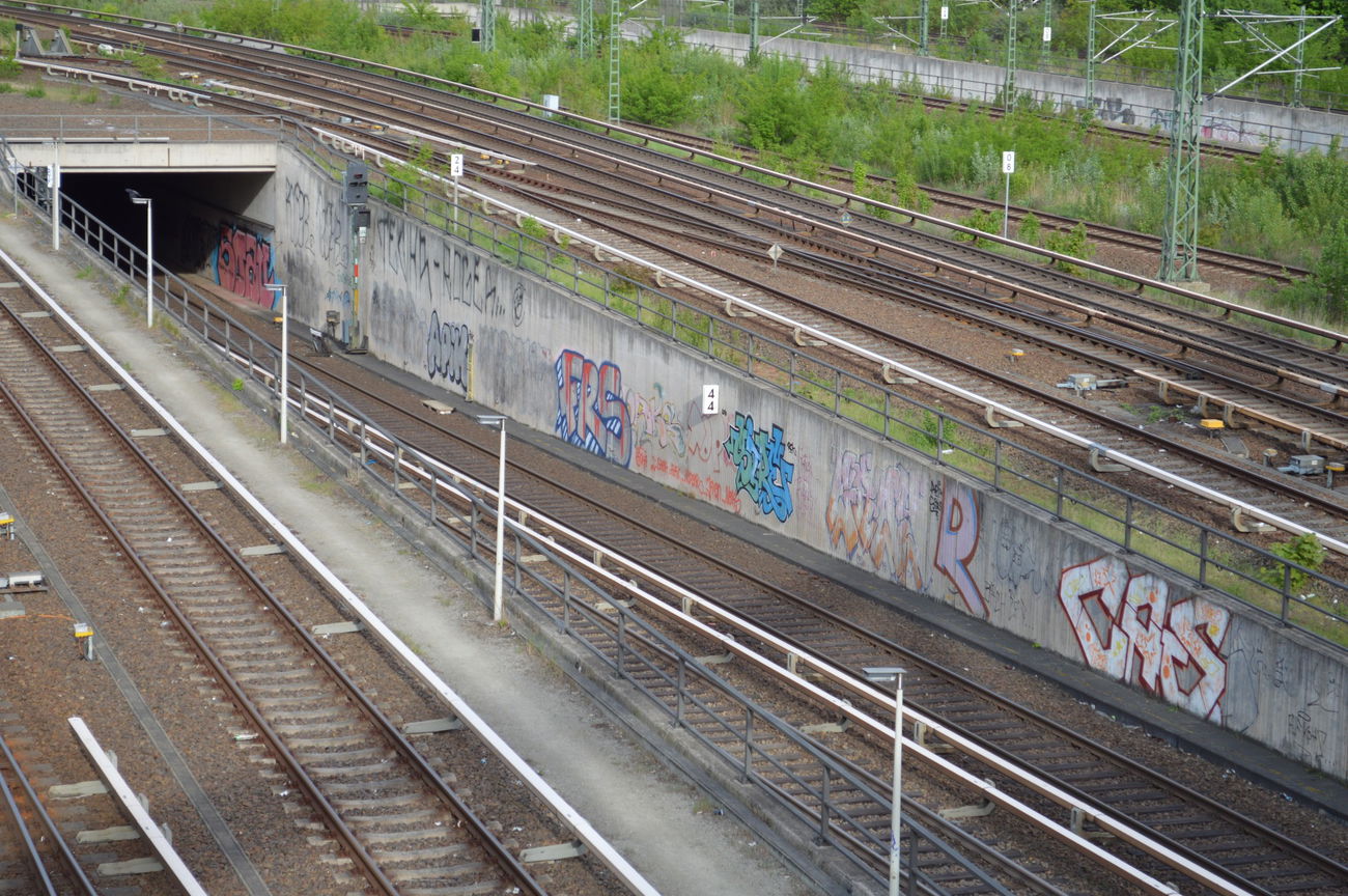 Graffiti Photo by RealGOG - Apik, Sire, RCK