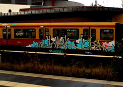 Photo #125227 by ISH