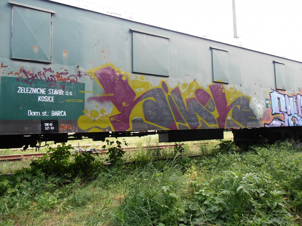 Graffiti Train - Photo by Reallost - Rilos (2013)