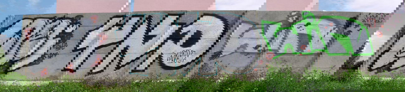 Graffiti Bombing - Photo by Reallost - Win, Rilos (2013)