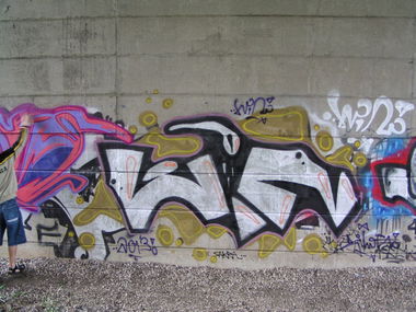 Graffiti Bombing - Photo by Reallost - Rilos (2013)