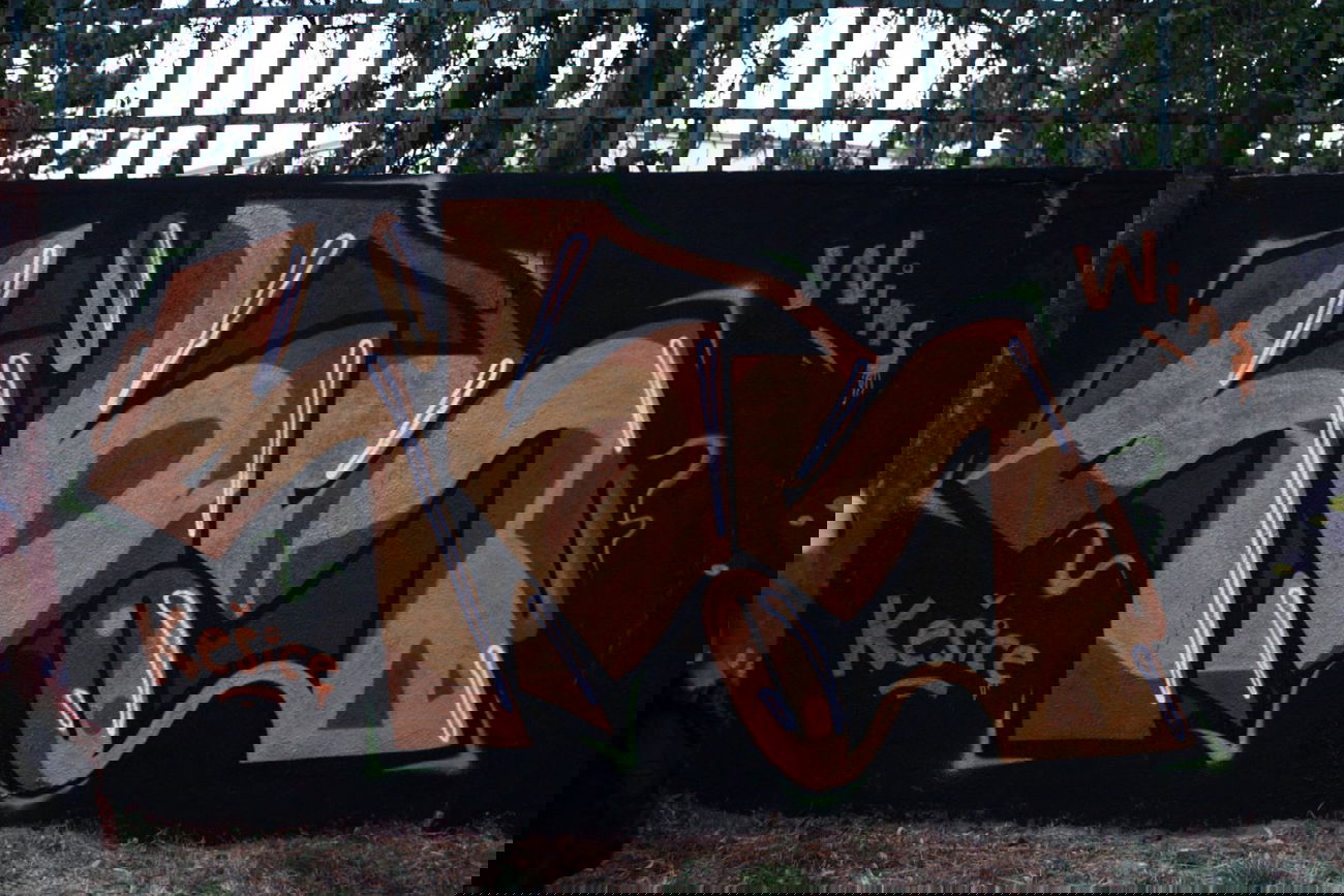 Graffiti Wall - Photo by Reallost - Rilos, Wins (2013)