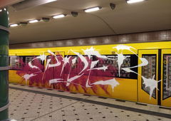 Photo #182096 by ion