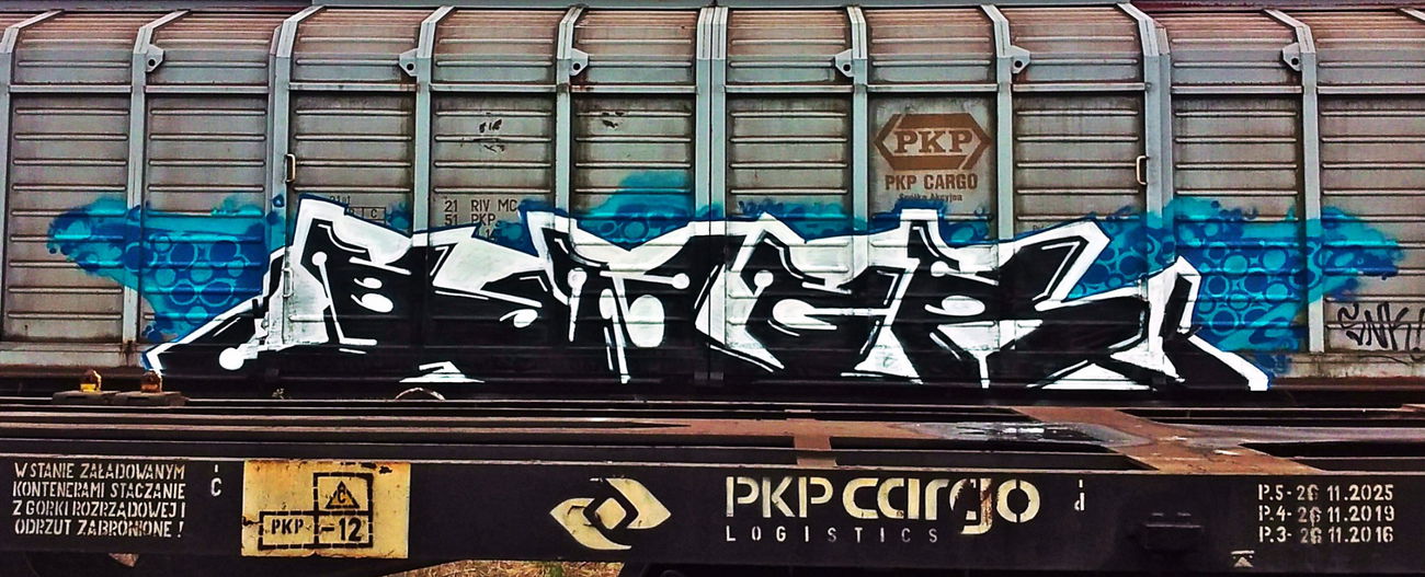 Graffiti Train in Poland - Photo by ReefaPlay (2016)