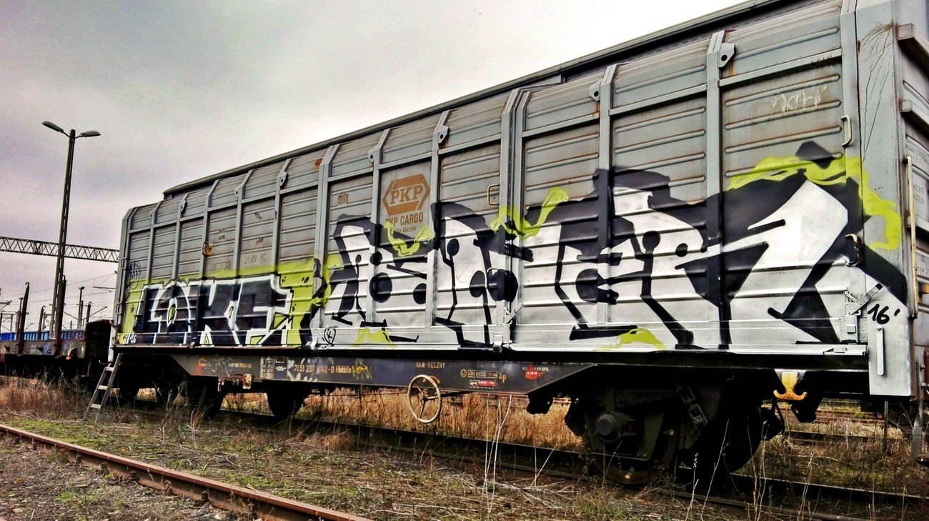 Graffiti Train - Photo by ReefaPlay (2016)