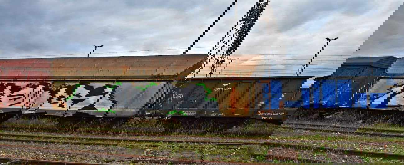 Graffiti Train in Gmina Parz?Czew - Photo by ReefaPlay