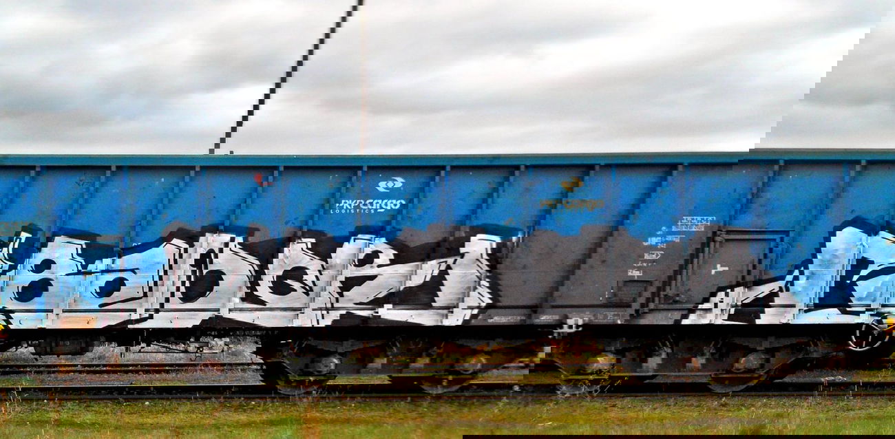 Graffiti Train in Gmina Parz?Czew - Photo by ReefaPlay