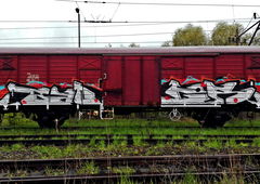 Graffiti Train - Photo by ReefaPlay (2016)