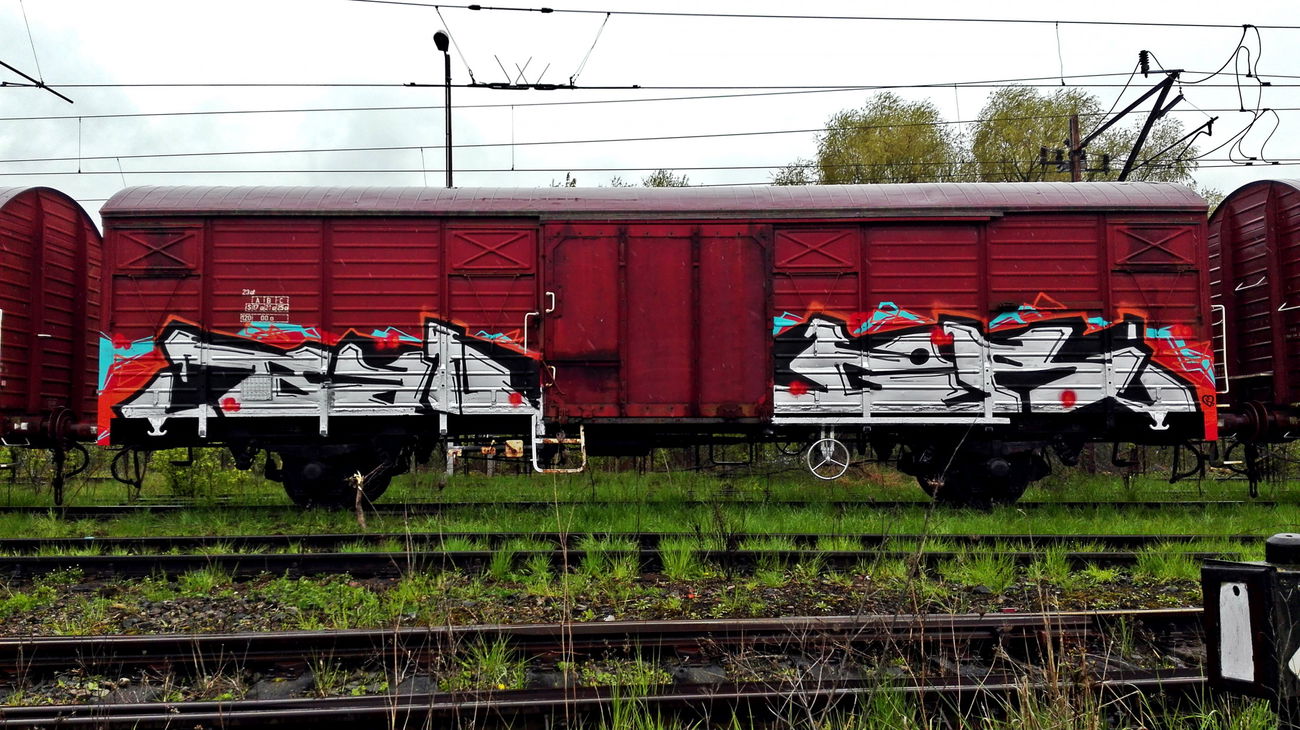 Graffiti Train - Photo by ReefaPlay (2016)