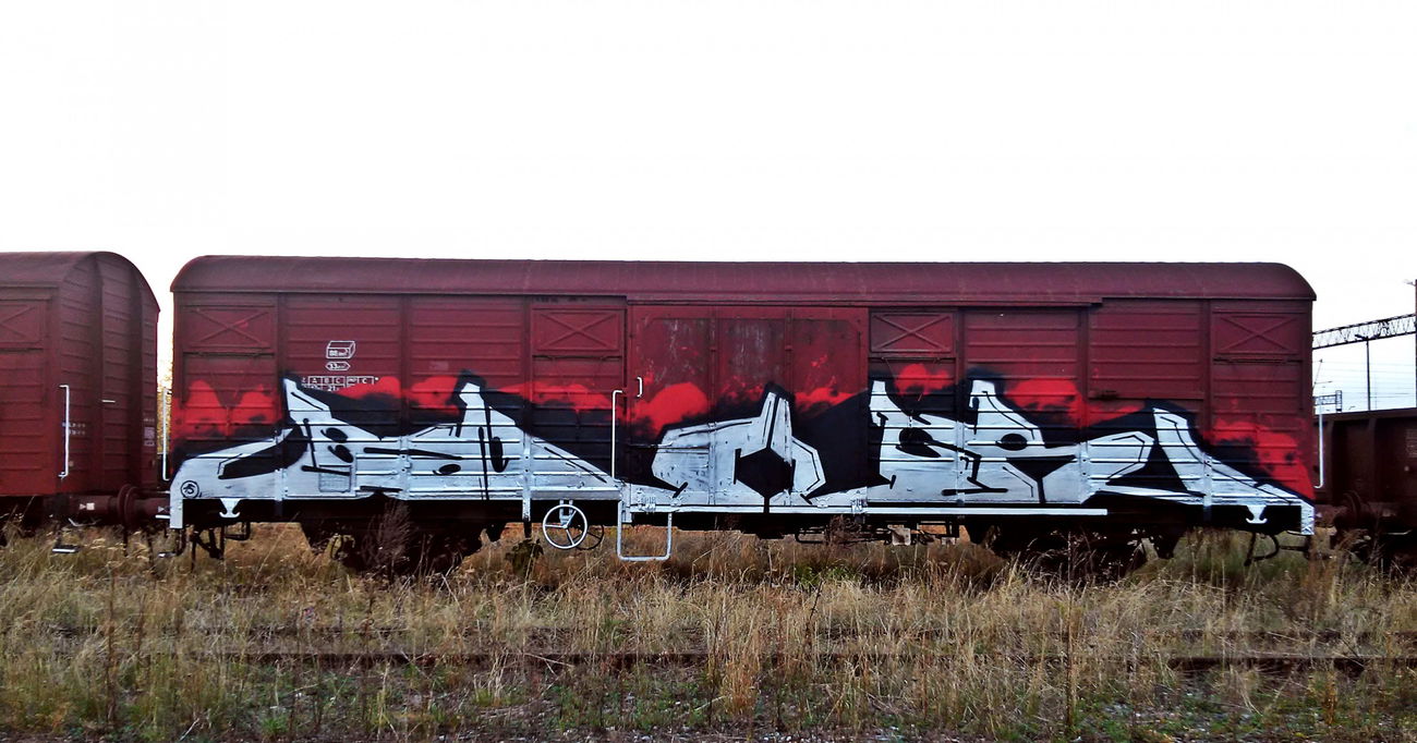 Graffiti Train in Poland - Photo by ReefaPlay (2015)