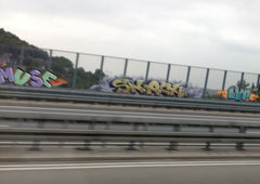 Photo #113693 by TagHagel