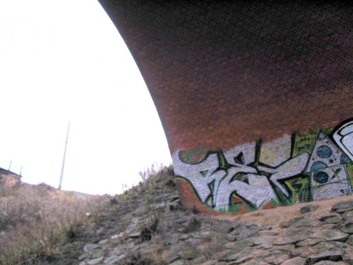 Graffiti Bombing - Photo by Rei