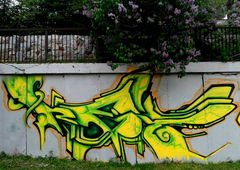 Photo #152123 by Belt