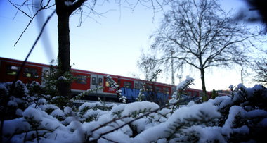 Graffiti Train - Photo by Reimemonster