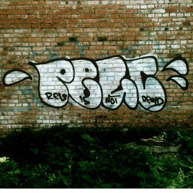 Graffiti Bombing in Yuryevets - Photo by Reis056 - Reis (2014)